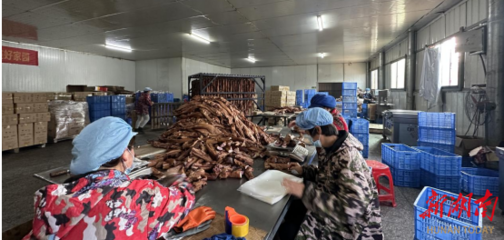 衡南縣江口鎮(zhèn)大力發(fā)展鄉(xiāng)村車間 助力鄉(xiāng)村振興